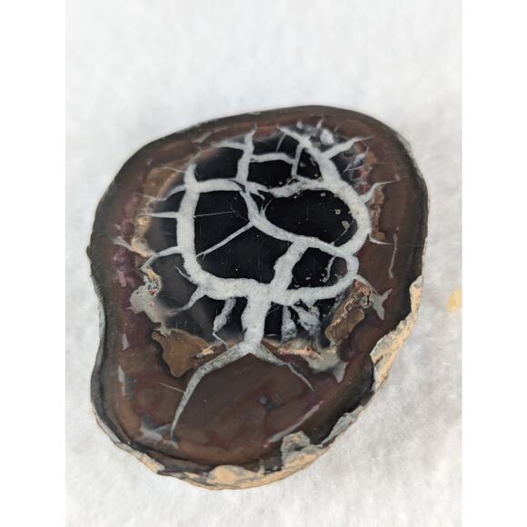 Dragon Stone Septarian slice fossil 41 x 55mm 35.5 grams Thunder egg NWOT - Picture 1 of 11